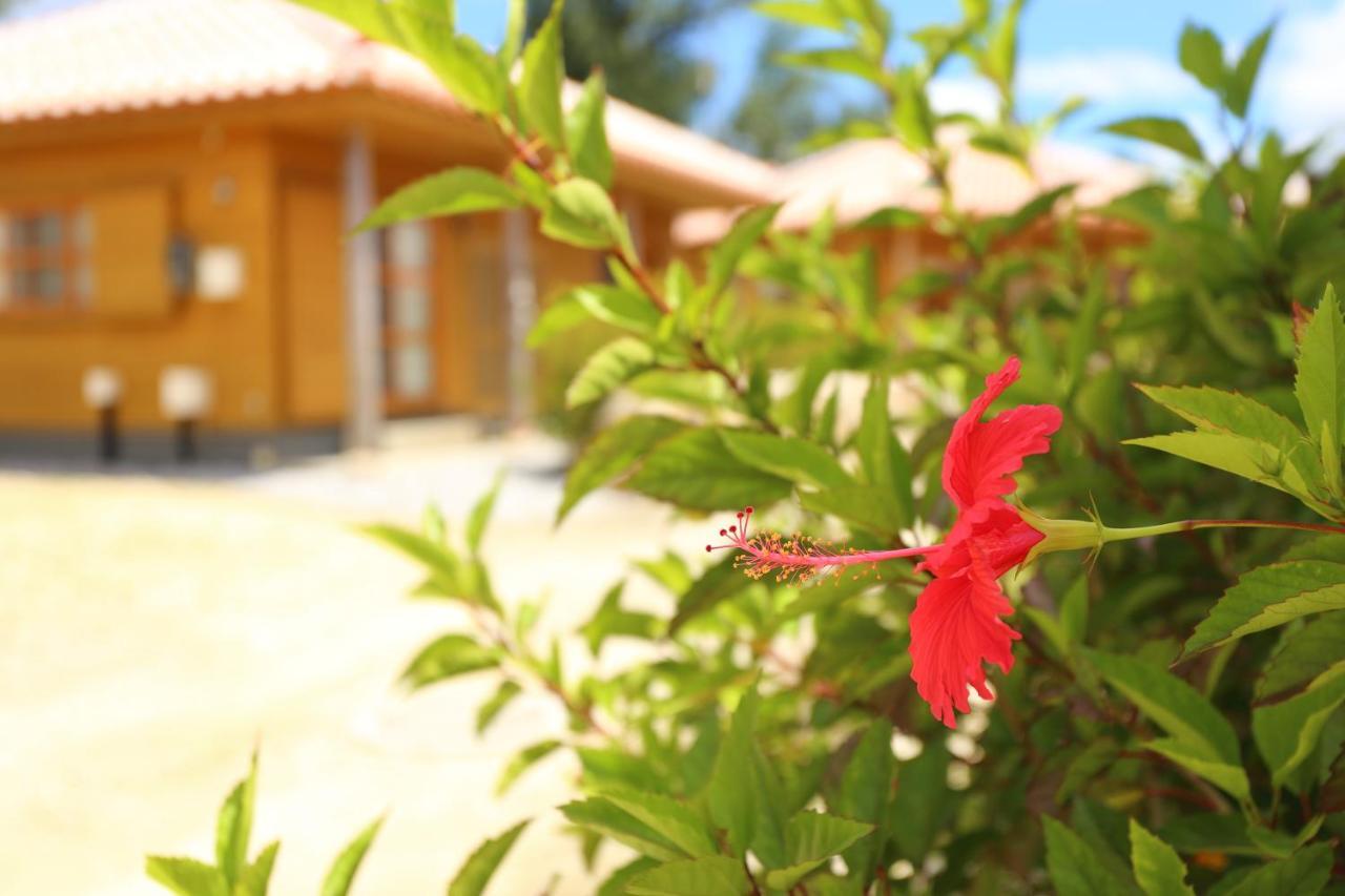 Tabinoteitaku Okinawa Nakijin Homann Concept Vila Exterior foto
